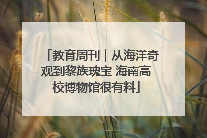 教育周刊｜从海洋奇观到黎族瑰宝 海南高校博物馆很有料