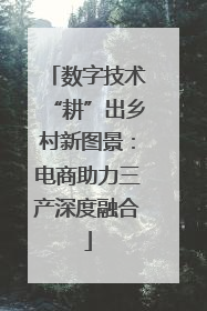 数字技术“耕”出乡村新图景：电商助力三产深度融合