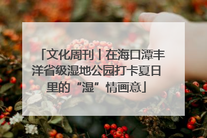 文化周刊丨在海口潭丰洋省级湿地公园打卡夏日里的“湿”情画意