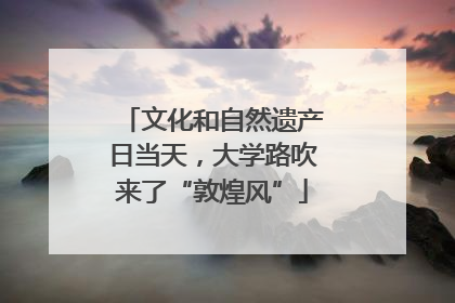 文化和自然遗产日当天，大学路吹来了“敦煌风”