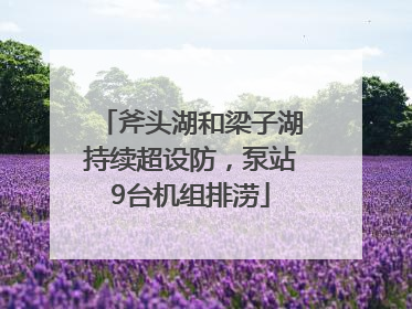 斧头湖和梁子湖持续超设防，泵站9台机组排涝