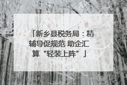 新乡县税务局：精辅导促规范 助企汇算“轻装上阵”