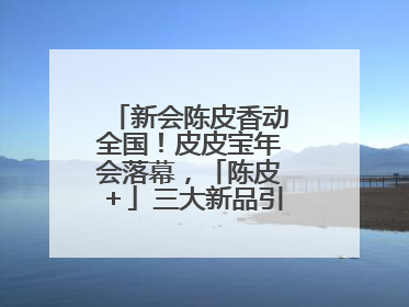 新会陈皮香动全国！皮皮宝年会落幕，「陈皮＋」三大新品引领产业升级