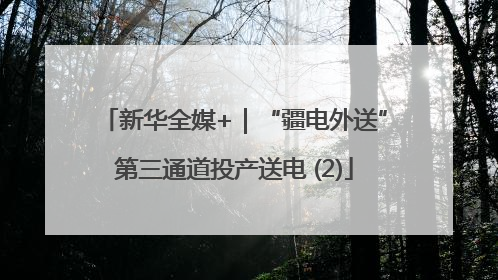 新华全媒+｜“疆电外送”第三通道投产送电 (2)