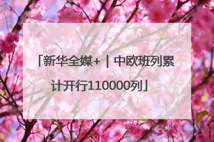 新华全媒+｜中欧班列累计开行110000列