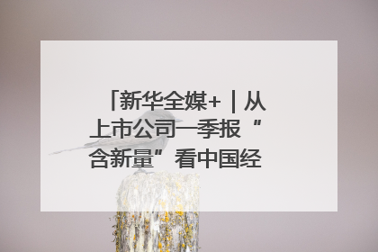 新华全媒+｜从上市公司一季报“含新量”看中国经济发展向“新”