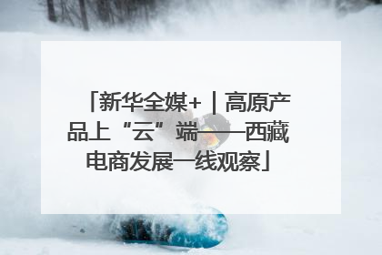 新华全媒+｜高原产品上“云”端——西藏电商发展一线观察