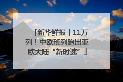 新华鲜报丨11万列！中欧班列跑出亚欧大陆“新时速”