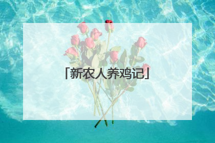 新农人养鸡记