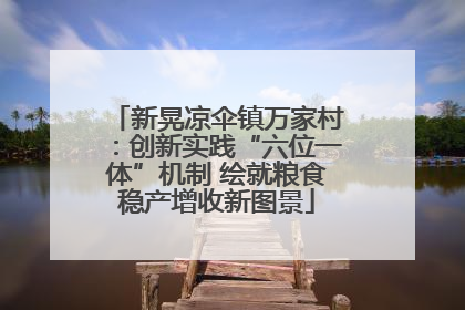 新晃凉伞镇万家村：创新实践“六位一体”机制 绘就粮食稳产增收新图景