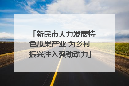 新民市大力发展特色瓜果产业 为乡村振兴注入强劲动力