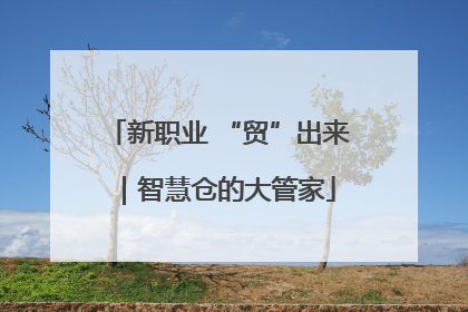 新职业 “贸”出来｜智慧仓的大管家