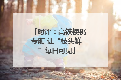 时评：高铁樱桃专厢 让“枝头鲜”每日可见
