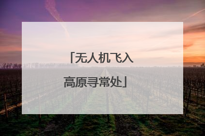 无人机飞入高原寻常处