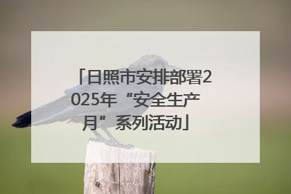 日照市安排部署2025年“安全生产月”系列活动
