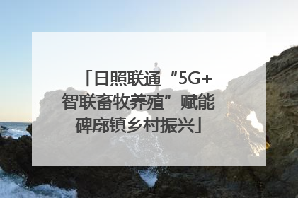 日照联通“5G+智联畜牧养殖”赋能碑廓镇乡村振兴