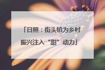 日照：街头镇为乡村振兴注入“甜”动力