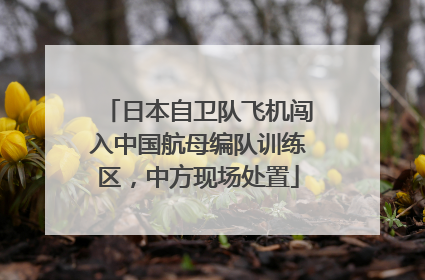 日本自卫队飞机闯入中国航母编队训练区，中方现场处置