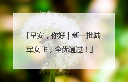 早安，你好｜新一批陆军女飞，全优通过！