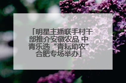 明星主播联手村干部推介安徽农品 中青乐选“青耘助农”合肥专场举办