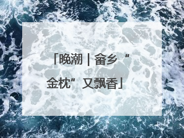 晚潮｜畲乡“金枕”又飘香