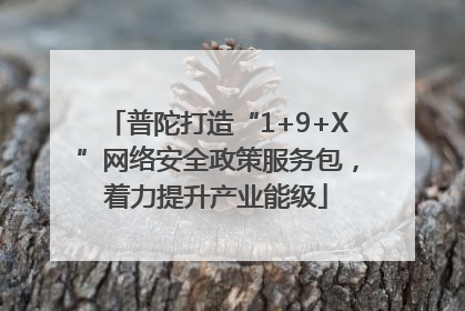 普陀打造“1+9+X”网络安全政策服务包，着力提升产业能级