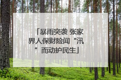 暴雨突袭 张家界人保财险闻“汛”而动护民生