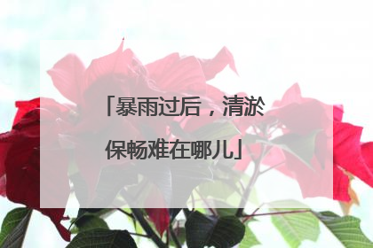 暴雨过后，清淤保畅难在哪儿