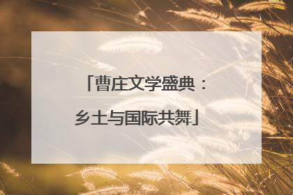曹庄文学盛典：乡土与国际共舞