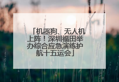 机器狗、无人机上阵！深圳福田举办综合应急演练护航十五运会