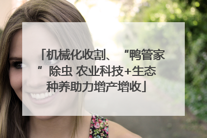机械化收割、“鸭管家”除虫 农业科技+生态种养助力增产增收