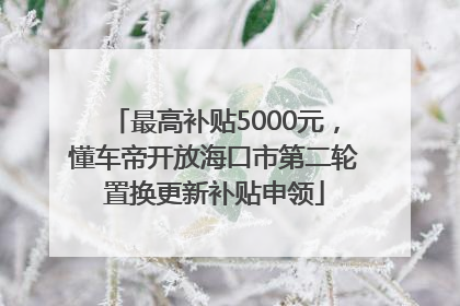 最高补贴5000元，懂车帝开放海口市第二轮置换更新补贴申领