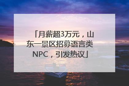 月薪超3万元，山东一景区招募语言类NPC，引发热议