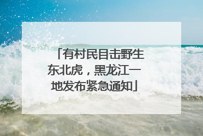 有村民目击野生东北虎，黑龙江一地发布紧急通知