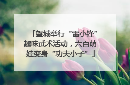 望城举行“雷小锋”趣味武术活动，六百萌娃变身“功夫小子”
