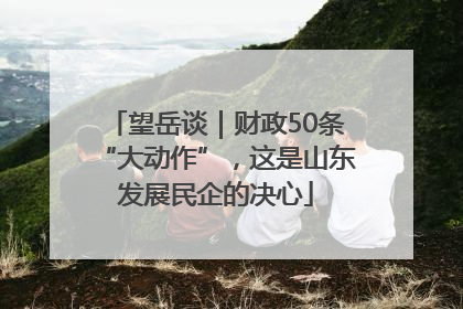 望岳谈｜财政50条“大动作”，这是山东发展民企的决心