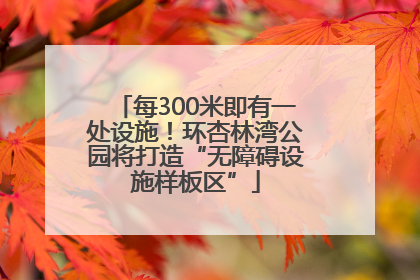 每300米即有一处设施！环杏林湾公园将打造“无障碍设施样板区”