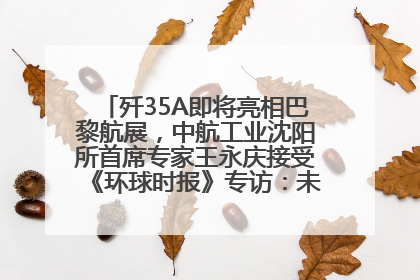 歼35A即将亮相巴黎航展，中航工业沈阳所首席专家王永庆接受《环球时报》专访：未来数量可以有很多