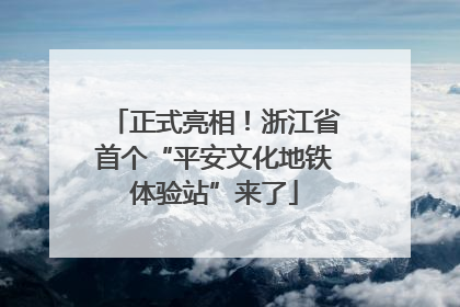 正式亮相！浙江省首个“平安文化地铁体验站”来了