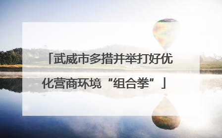 武威市多措并举打好优化营商环境“组合拳”