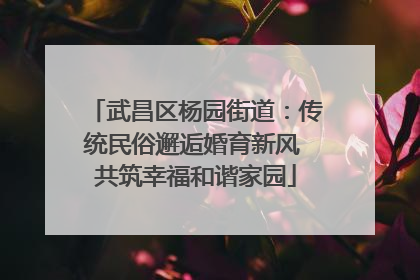 武昌区杨园街道：传统民俗邂逅婚育新风 共筑幸福和谐家园