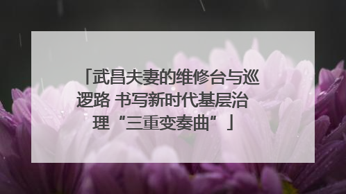 武昌夫妻的维修台与巡逻路 书写新时代基层治理“三重变奏曲”