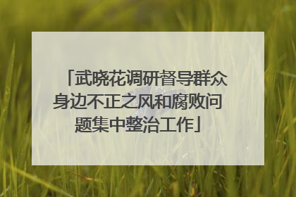 武晓花调研督导群众身边不正之风和腐败问题集中整治工作