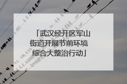 武汉经开区军山街道开展节前环境综合大整治行动