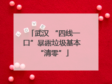 武汉 “四线一口”暴露垃圾基本 “清零”