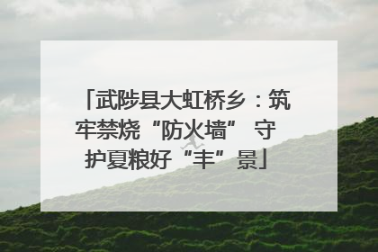 武陟县大虹桥乡：筑牢禁烧“防火墙” 守护夏粮好“丰”景