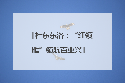 桂东东洛：“红领雁”领航百业兴