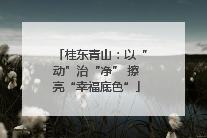 桂东青山：以“动”治“净” 擦亮“幸福底色”