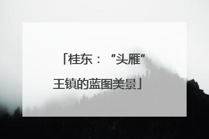 桂东：“头雁”王镇的蓝图美景