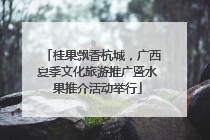 桂果飘香杭城，广西夏季文化旅游推广暨水果推介活动举行